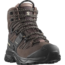 Salomon Quest 4 GTX Women, sh.bag/black/cork