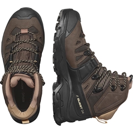 Salomon Quest 4 GTX Women, sh.bag/black/cork