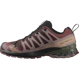 Salomon XA Pro 3D v9 GTX Men, blk coffee/r.raisin