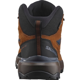 Salomon X Ultra 360 LTR Mid GTX, bn/caramel cafe