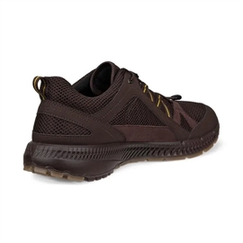 ECCO Terracruise II Men GTX, mocha