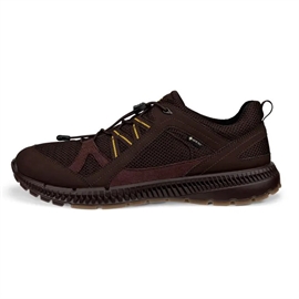 ECCO Terracruise II Men GTX, mocha