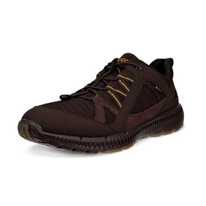 ECCO Terracruise II Men GTX, mocha