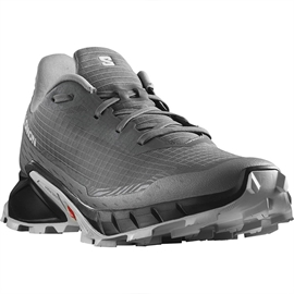 Salomon Alphacross 5 Men, pewter/black/ghost