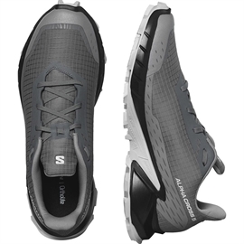 Salomon Alphacross 5 Men, pewter/black/ghost