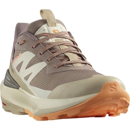 Salomon Elixer Activ GTX Women, falcon/w.pepper/papaya