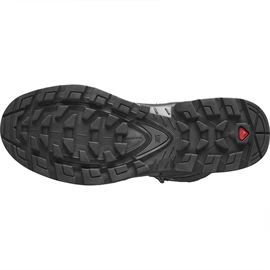 Salomon Quest 4 GTX, magnet/black/quarry