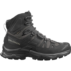 Salomon Quest 4 GTX, magnet/black/quarry