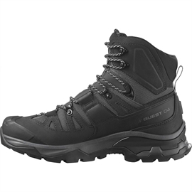 Salomon Quest 4 GTX, magnet/black/quarry