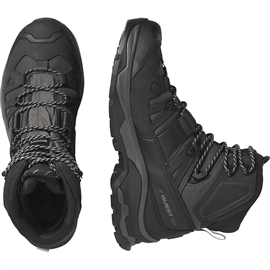 Salomon Quest 4 GTX, magnet/black/quarry