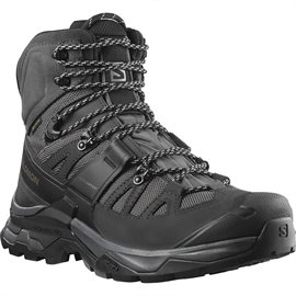 Salomon Quest 4 GTX, magnet/black/quarry