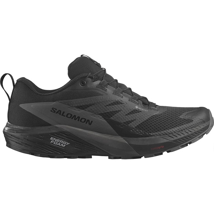 Salomon Sense Ride 5 GTX, black/magnet