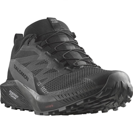 Salomon Sense Ride 5 GTX, black/magnet