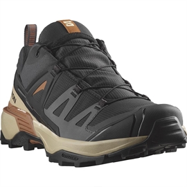 Salomon X Ultra 360 GTX, phantom/safari/caramel cafe