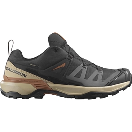 Salomon X Ultra 360 GTX, phantom/safari/caramel cafe